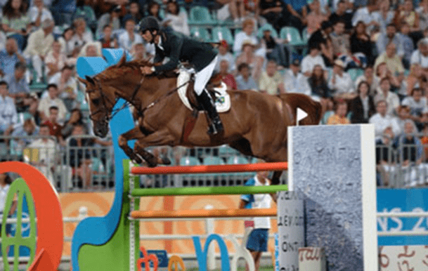 Cavalos de Salto  São Bernardo do Campo SP